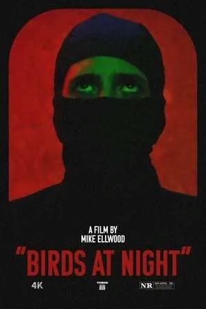 Birds at Night (2024) - Poster